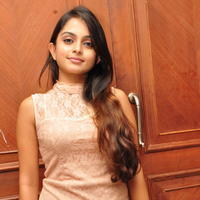 Sheena Shahabadi at Nuvve Naa Bangaram First Look Release Photos | Picture 599531